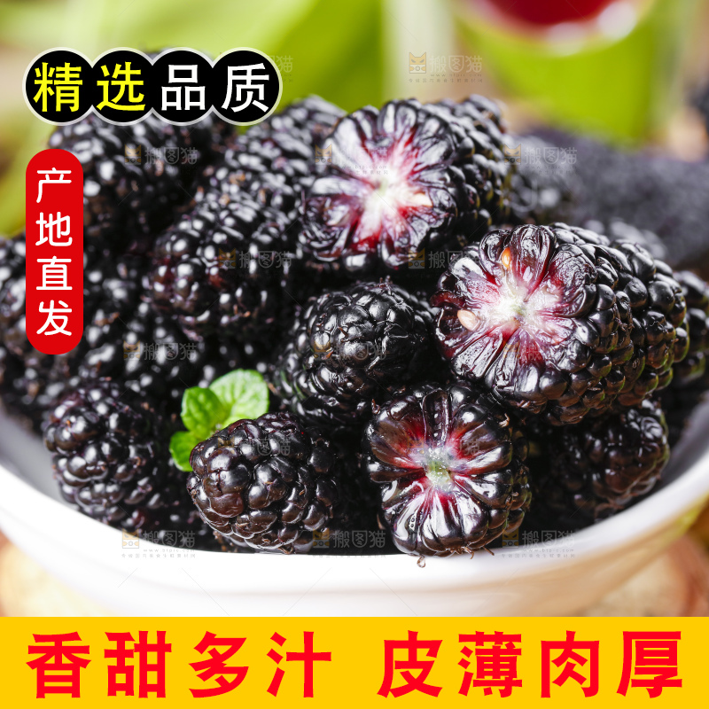 碟子里装着黑桑葚