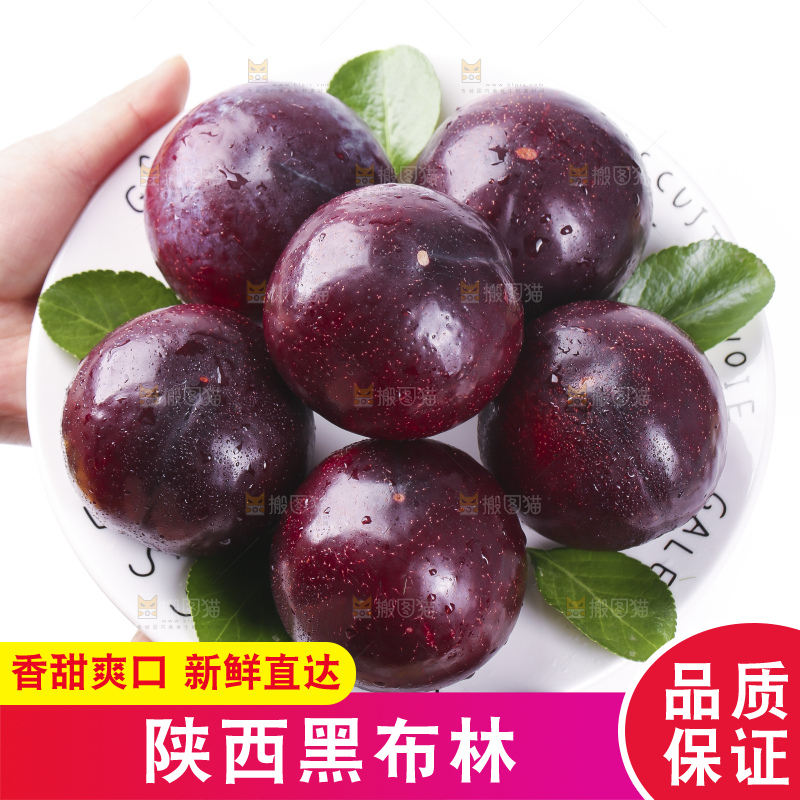 手里拿着一盘黑布朗