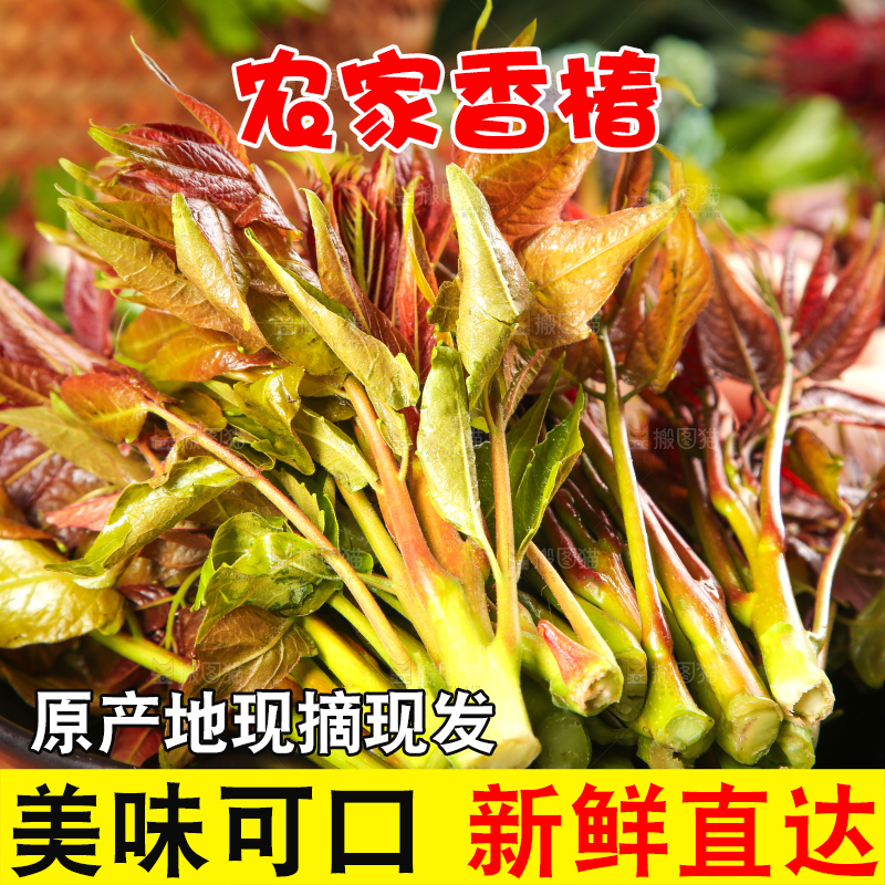 盘子里放着野生香棒