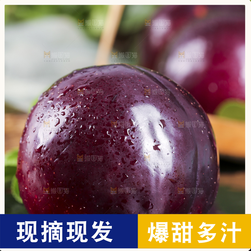 黑底上摆放着恐龙蛋李