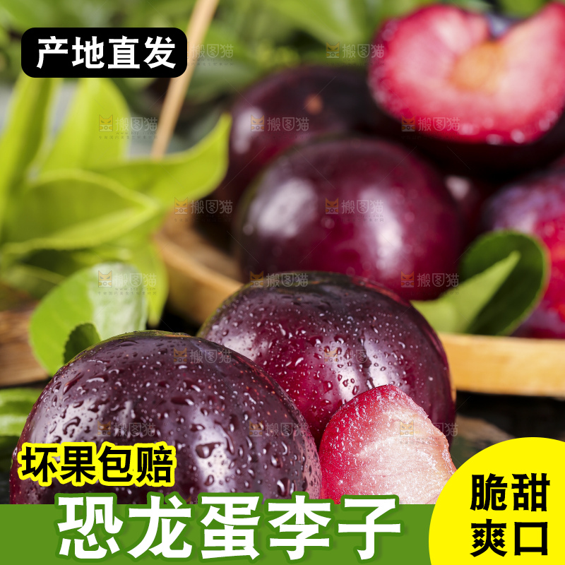 黑底上摆放着恐龙蛋李