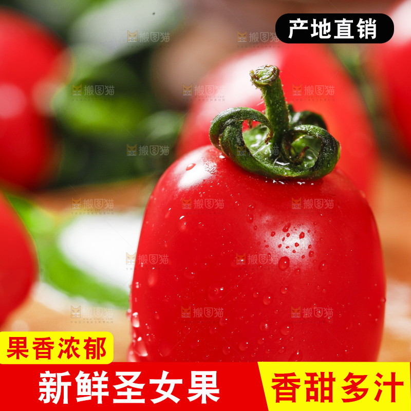 木底上摆放着千禧圣女果