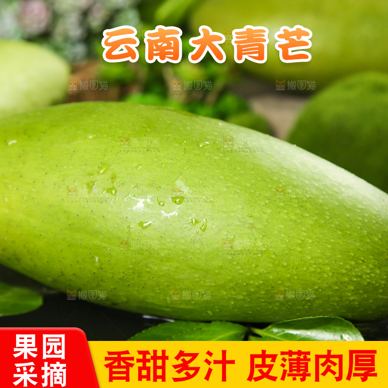 黑底上摆放着大青芒