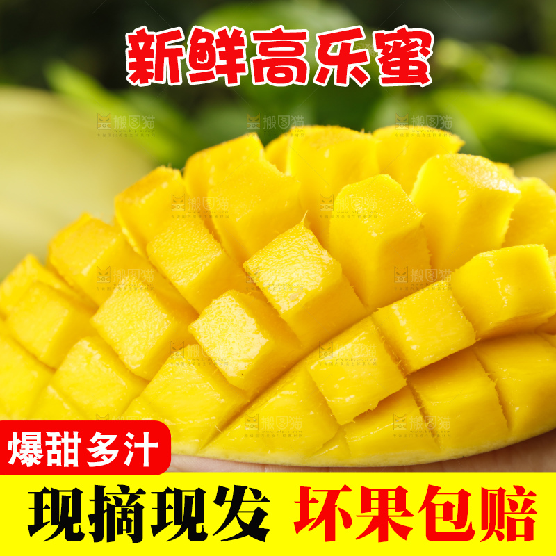 手里拿着金煌芒