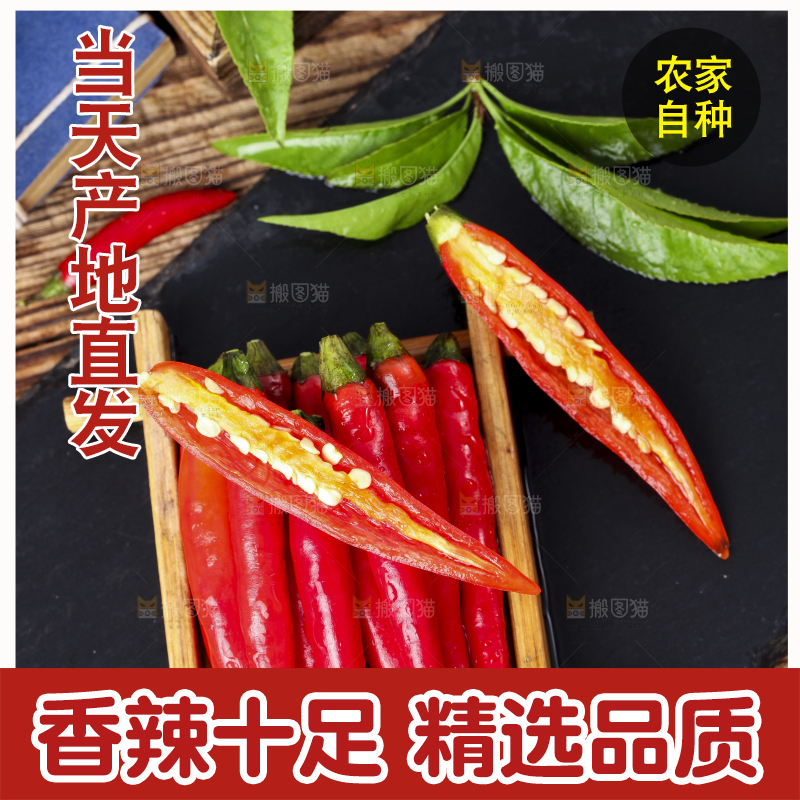 深底上摆放着小米椒