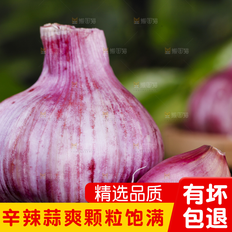 黑底上放着紫皮鲜蒜