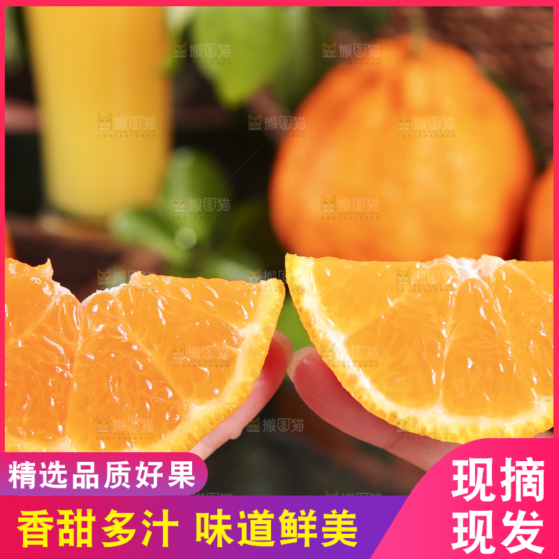 手里拿着不知火柑橘