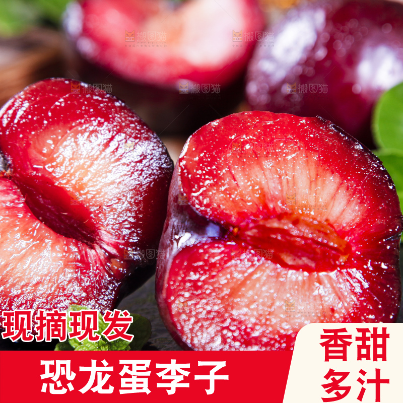 深底上摆放着恐龙蛋李