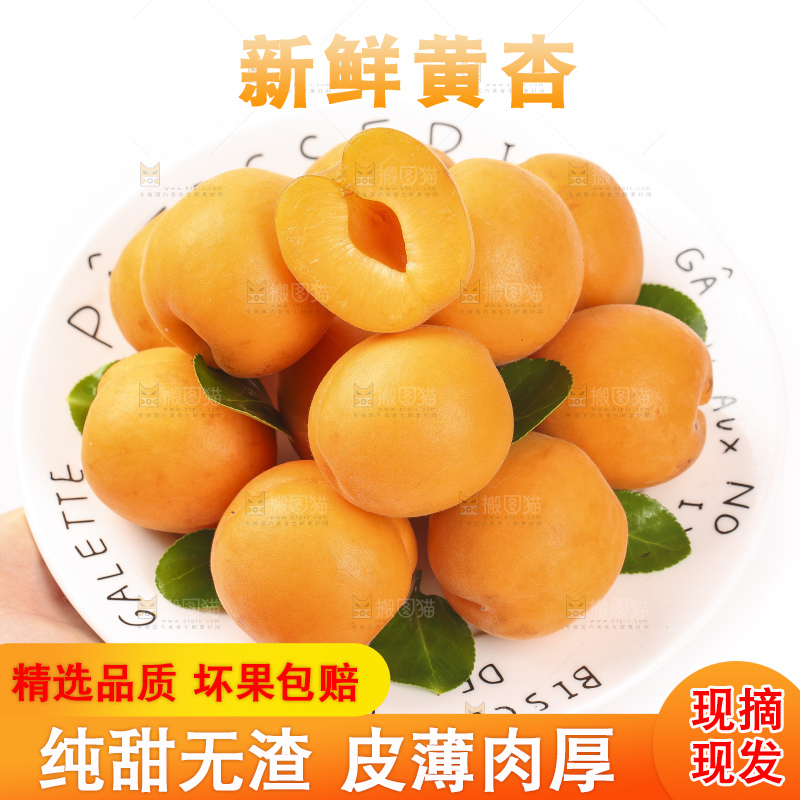 手里拿着一盘金太阳杏