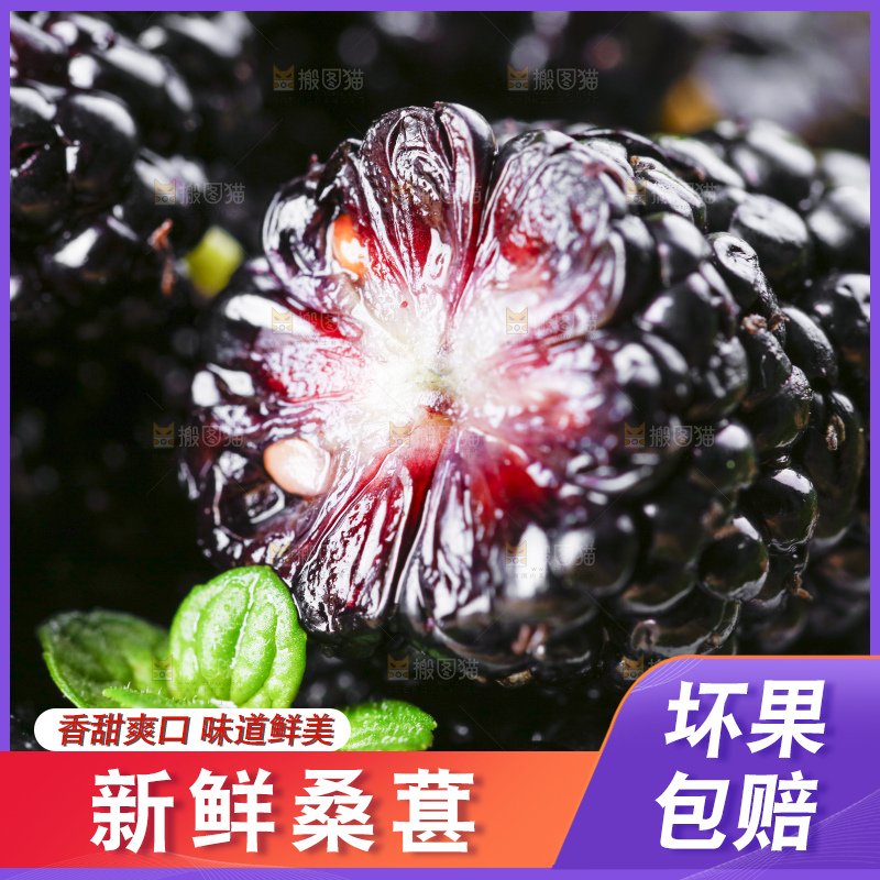 堆放着一堆黑桑葚