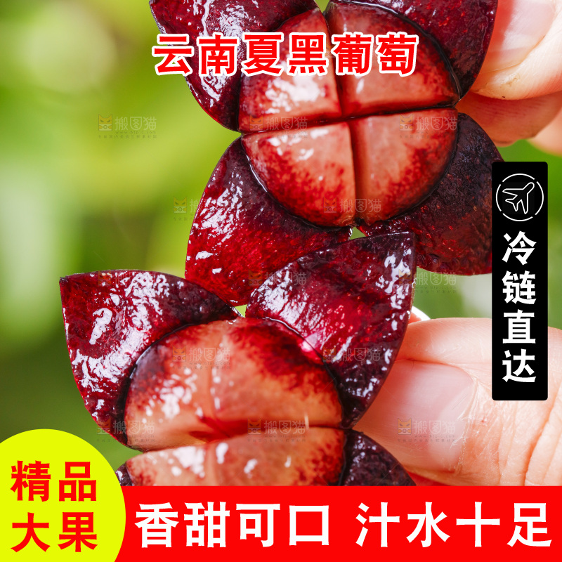 手里拿着剥皮了的紫葡萄