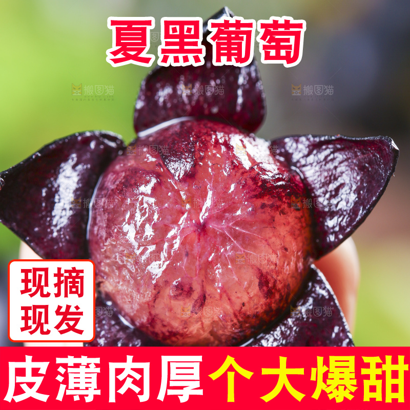 手里拿着黑提子