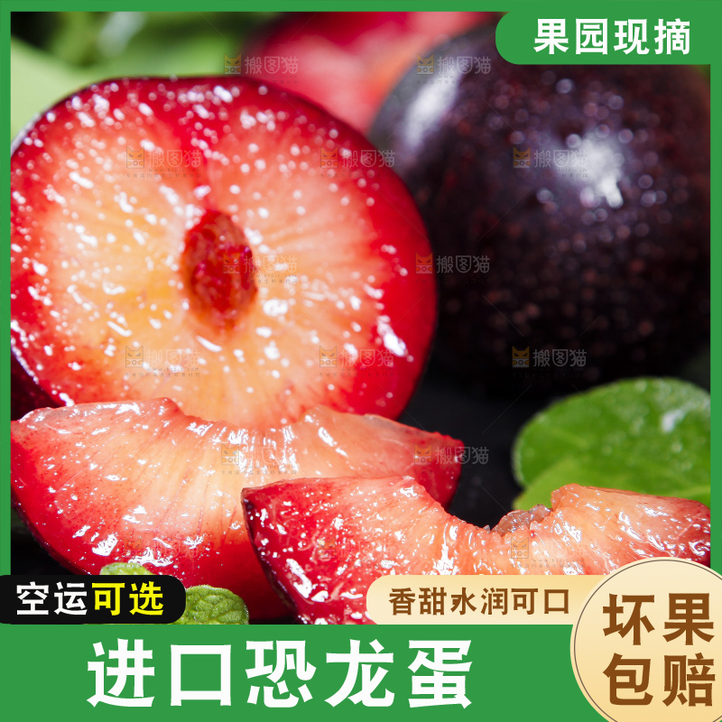 深底上摆放着恐龙蛋李