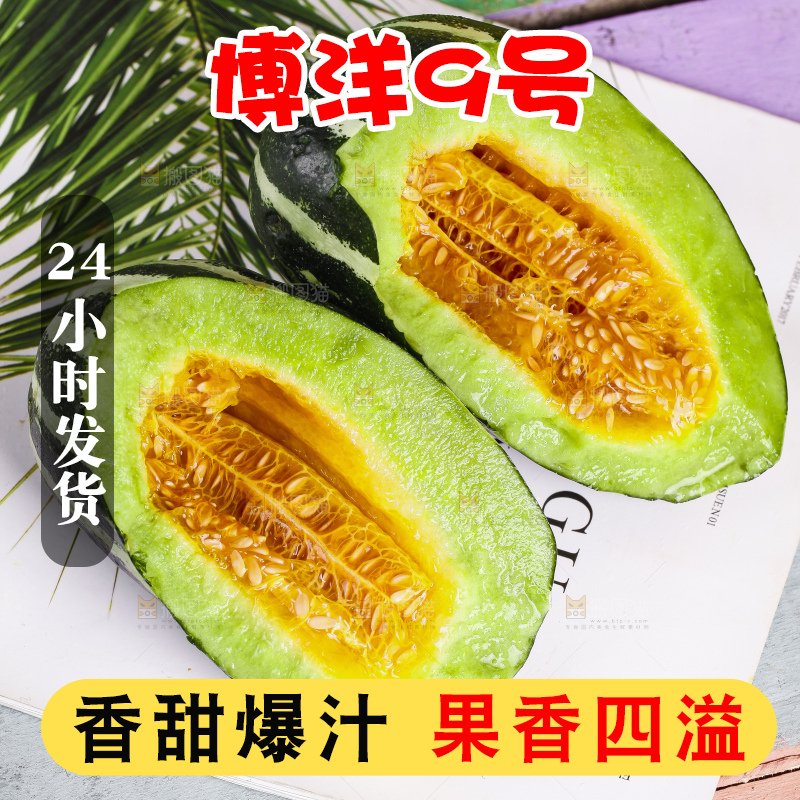 浅底上放着博洋香瓜