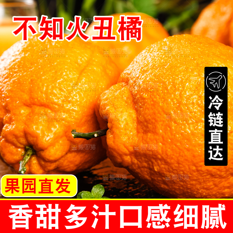 黑底上放着不知火丑橘