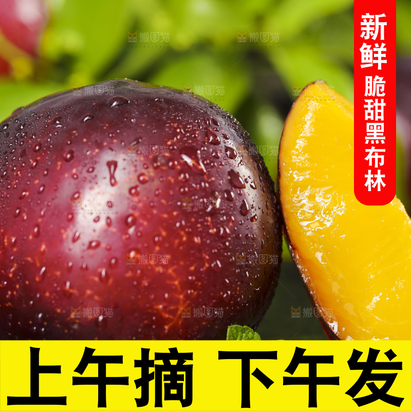 深底上放着黑布朗