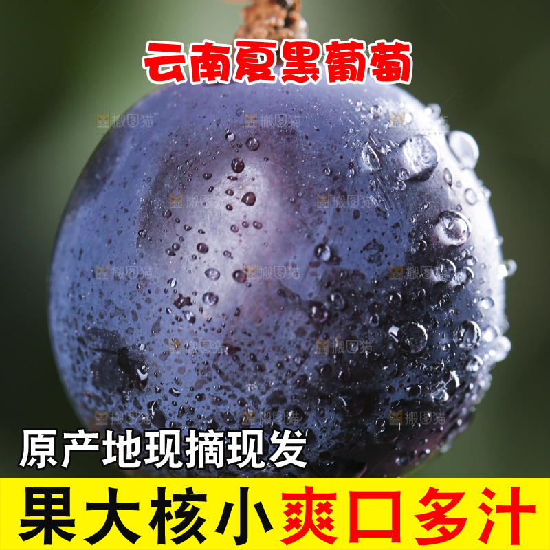 手里拿着一颗葡萄