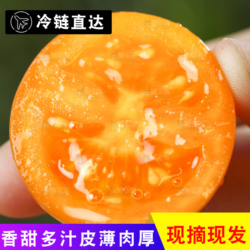 手里拿着小番茄