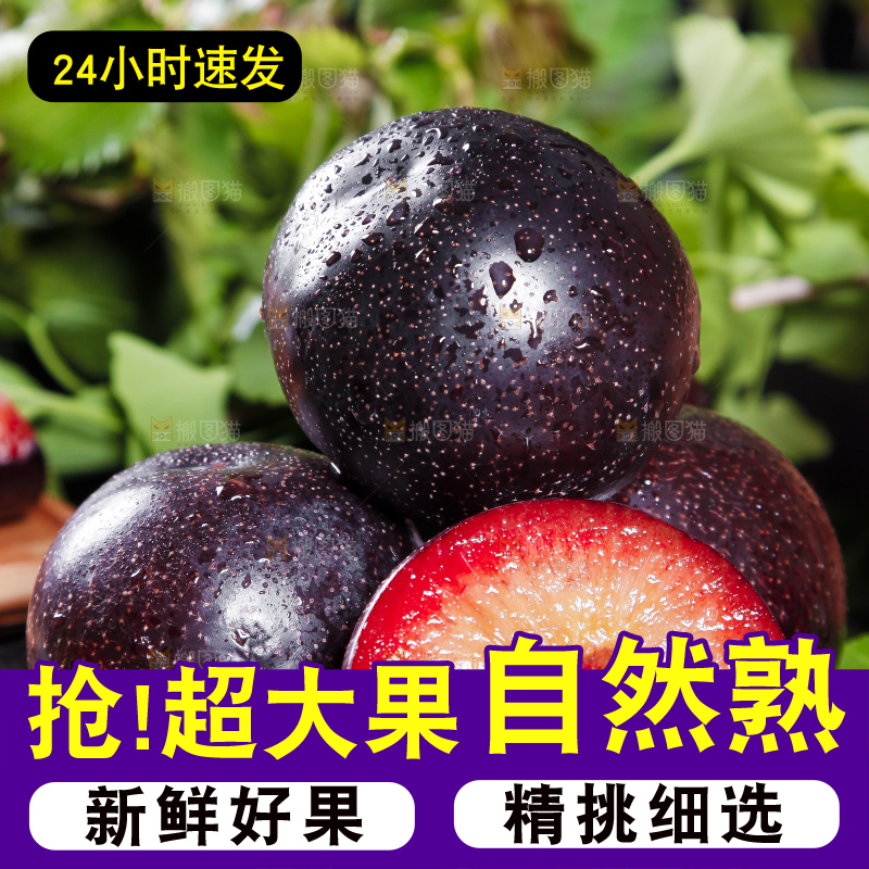 深底上摆放着恐龙蛋李