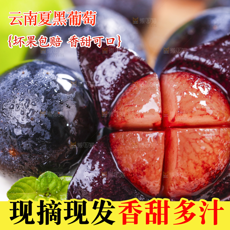 白底上放着黑提