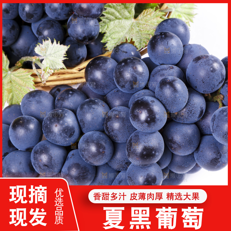 白底上放着云南夏黑葡萄