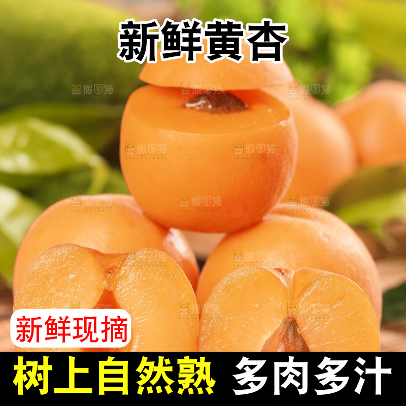 木底上摆放着烟台杏子