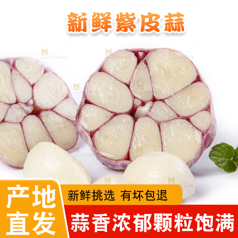 白底上放着紫皮多瓣大蒜