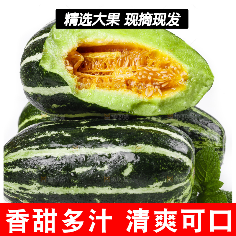白底上放着博洋甜瓜