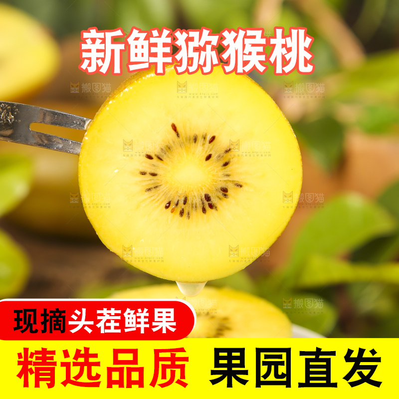 盘子里装着切片的黄心猕猴桃
