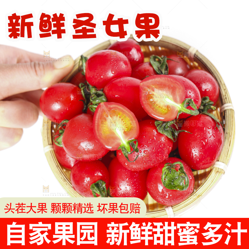 手里拿着一篮圣女果