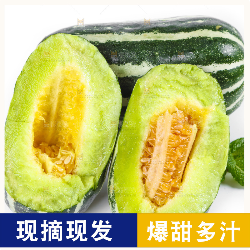 白底上放着山东博洋9号甜瓜