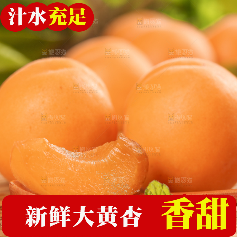 木底上放着山东大黄杏