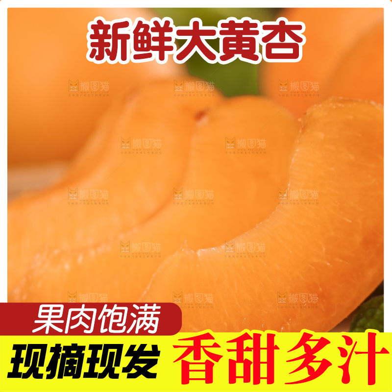 木底上放着山东大黄杏