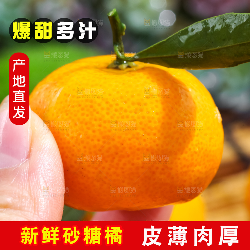 手里拿着小蜜橘