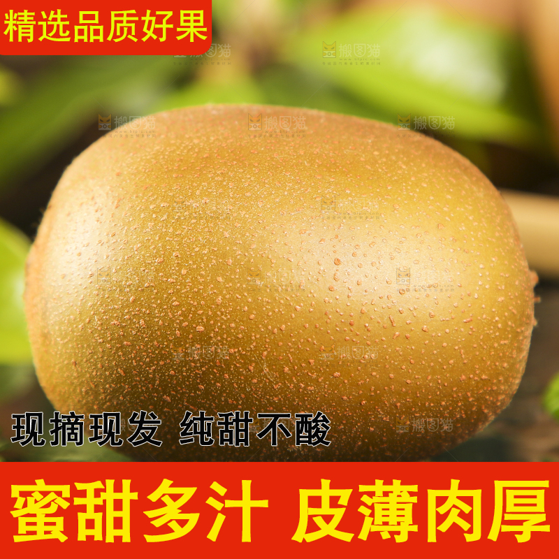 黑底上摆着奇异果