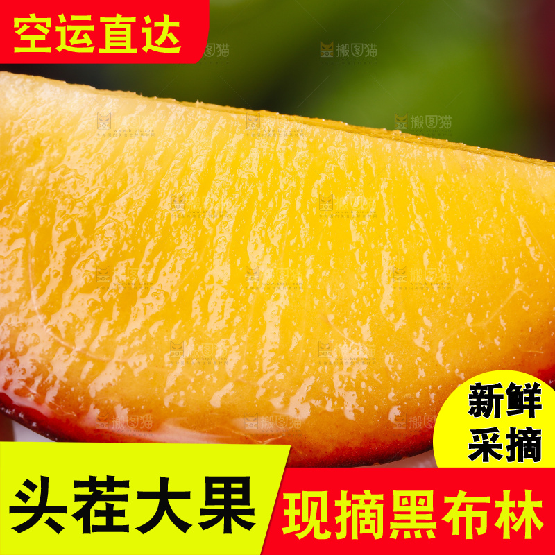 手里拿着黑布林