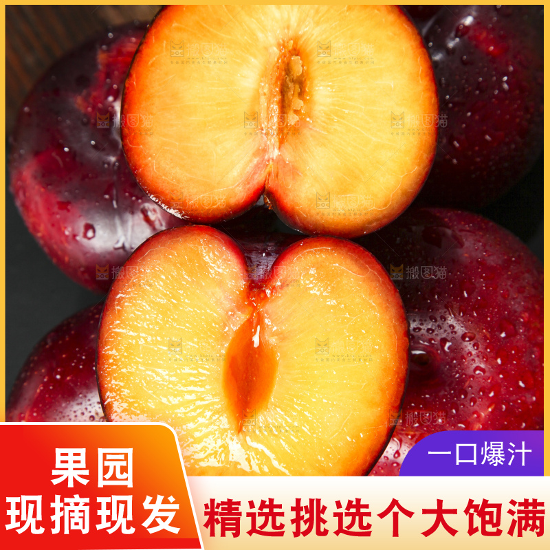 深底上放着智利黑布林李子