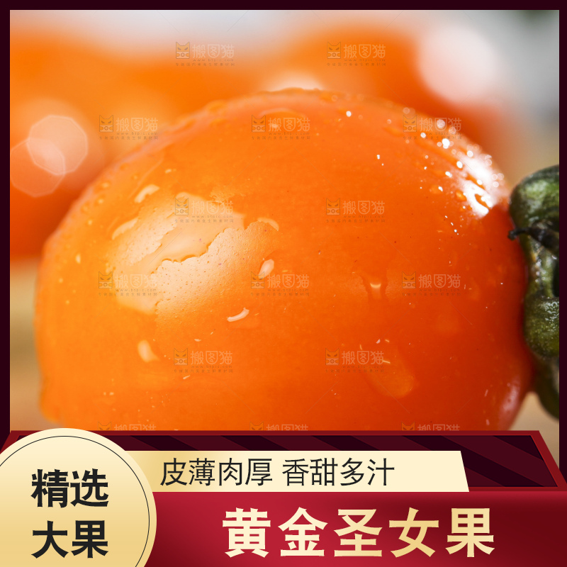 木底上摆放着山东黄金圣女果