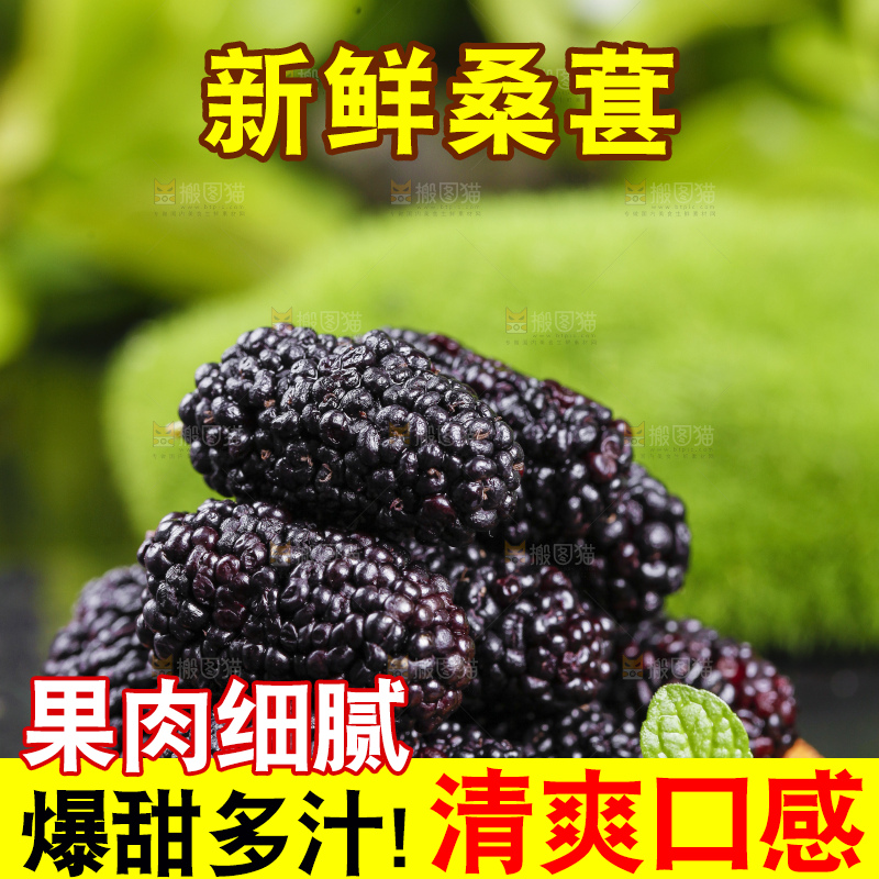 碟子里装着黑桑葚