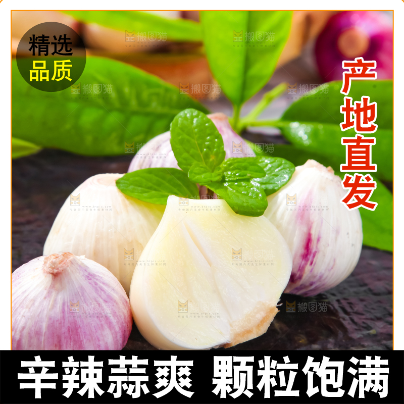 深底上摆放着紫皮独蒜