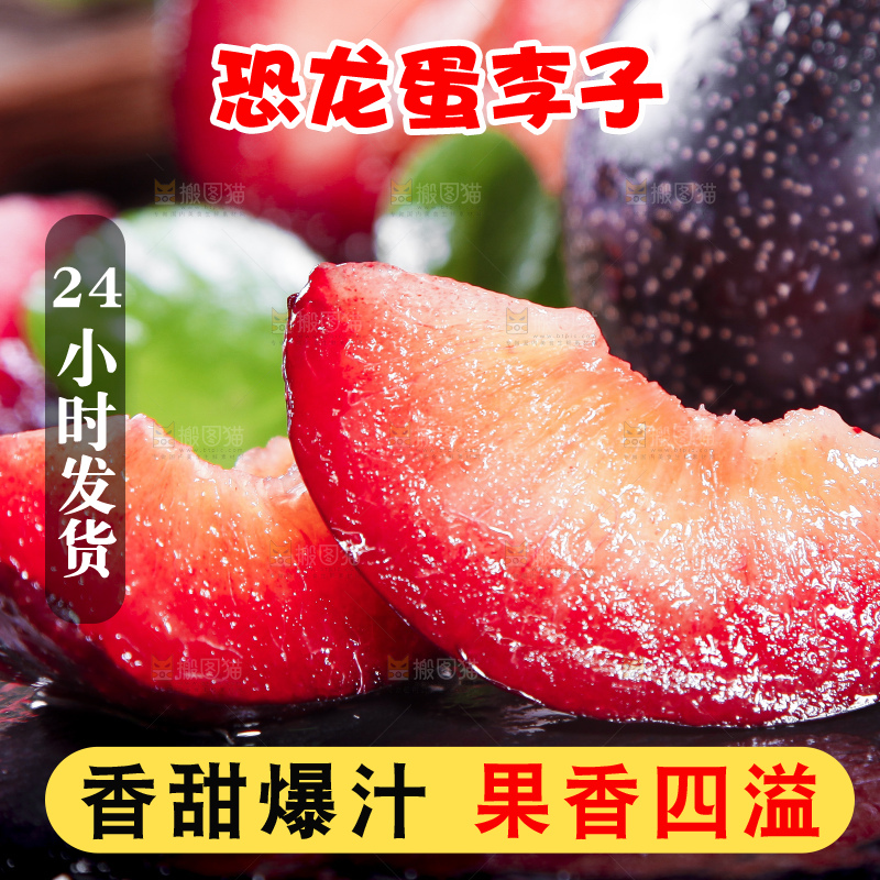 黑底上摆放着智利进口恐龙蛋