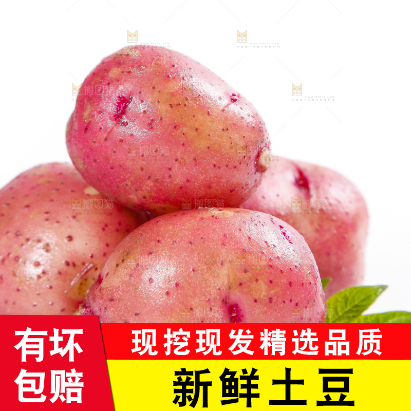 白底上摆放着红皮小土豆 