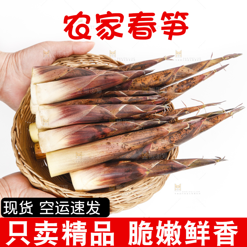 手里拿着一篮雷竹笋