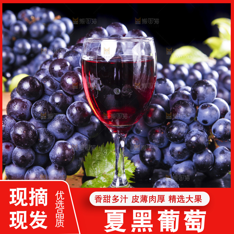 黑底上摆放着云南夏黑葡萄