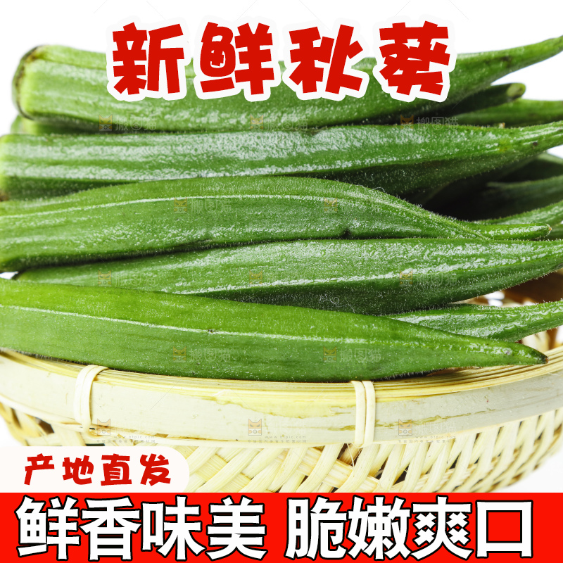篮子里装着山东新鲜秋葵
