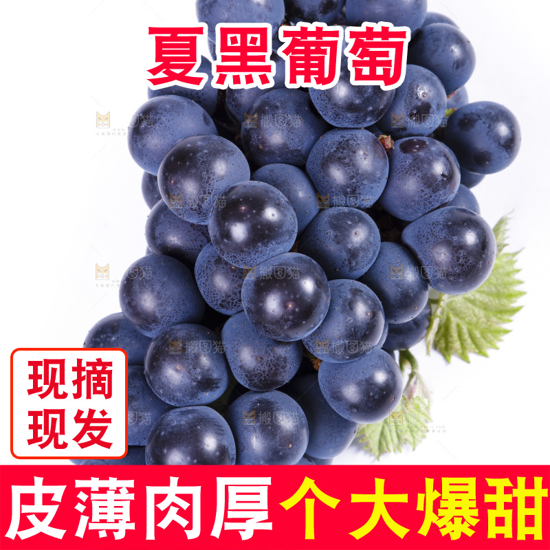 白底上摆放着巨峰葡萄