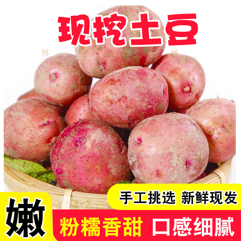 篮子里装着红皮小土豆