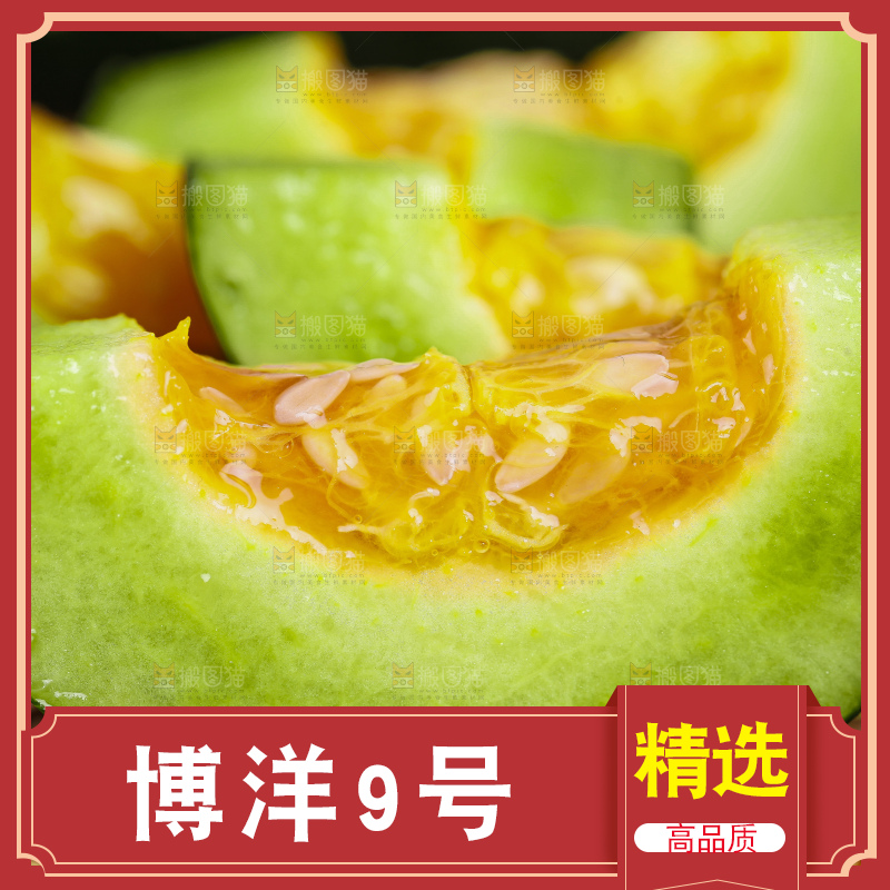 编织垫上放着博洋9号甜瓜