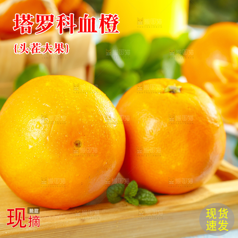 木底上摆放着四川塔罗科血橙