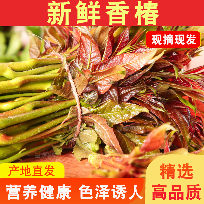 木板上放着香椿芽